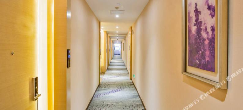 麗枫酒店(广州空港大道龙归金铂广场店)图片