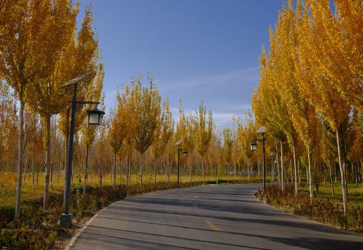 Dunhuang International HotelHotel Overview