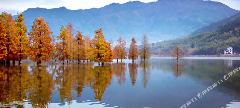 宏村栖梧·旅行精选徽派景观民宿图片
