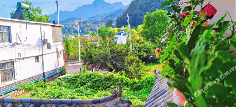 栾川桃源人家客栈图片