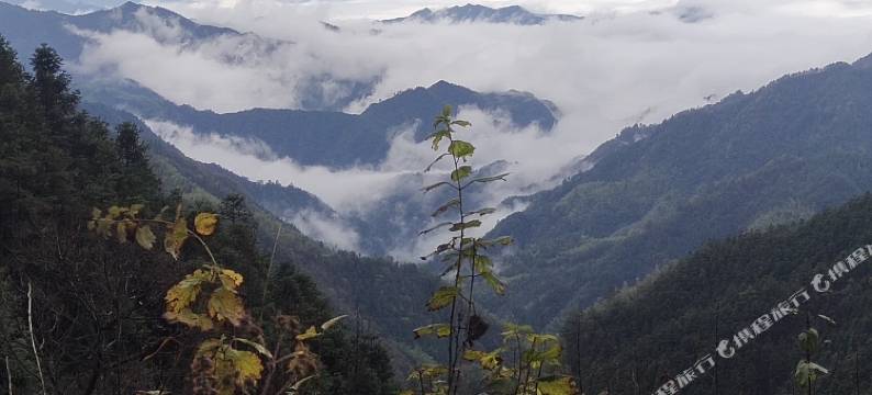 休宁际源农庄图片