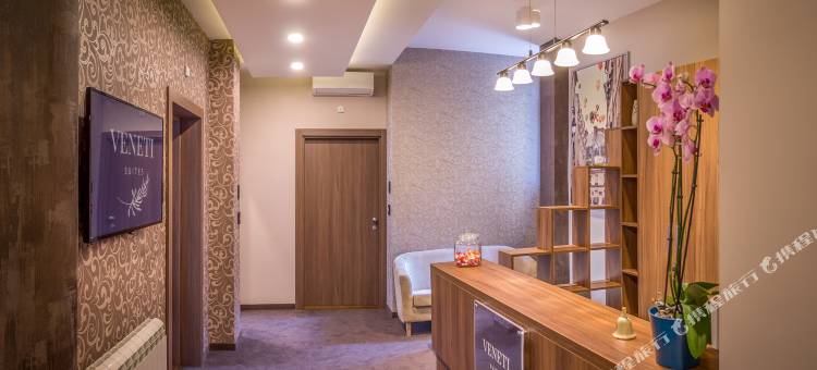万尼旅馆(Veneti Suites)图片