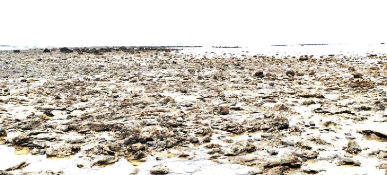 涠洲岛海的一方客栈图片