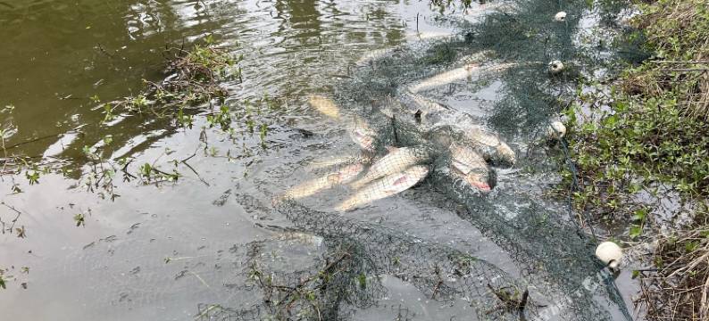 紫云山・星空庄园〡Star Manor 庄园度假美宿图片