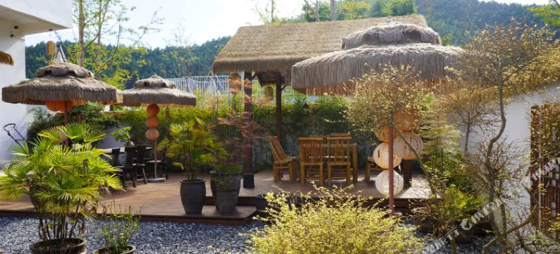 崇义兰溪•在江野民宿图片