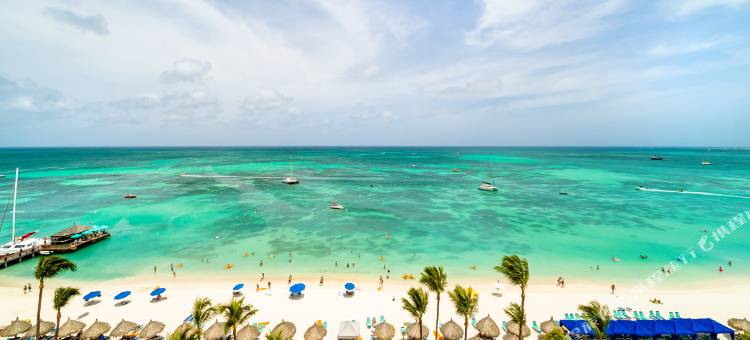 阿鲁巴岛凯悦度假酒店(Hyatt Regency Aruba Resort, Spa and Casino)图片