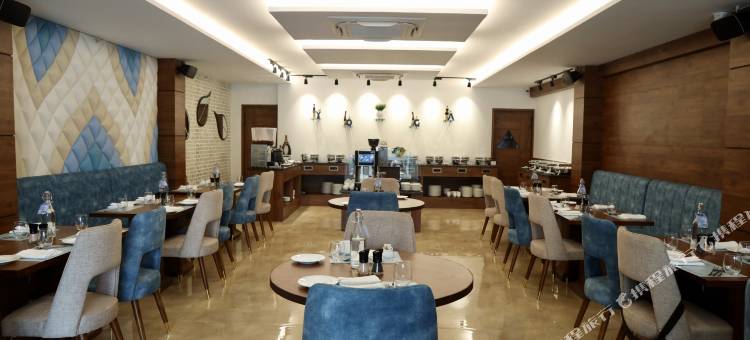 印多尔伟杰纳加尔普莱奥特尔酒店(Playotel Premier Vijay Nagar)图片