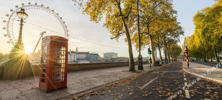 蒙塔古宫酒店(Montagu Place Hotel)图片