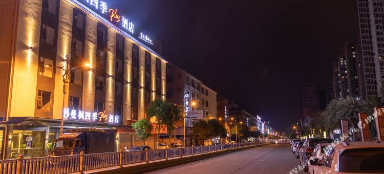 曼枫四季Plus酒店(炮龙AI市集力沃广场店)图片