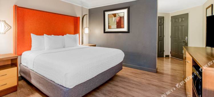 新奥尔良市中心拉昆塔温德姆套房酒店(La Quinta Inn & Suites by Wyndham New Orleans Downtown)图片