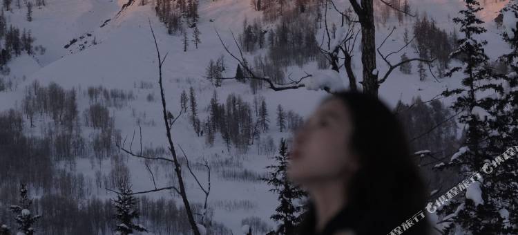 携程度假农庄(新疆禾木西融联营店)图片