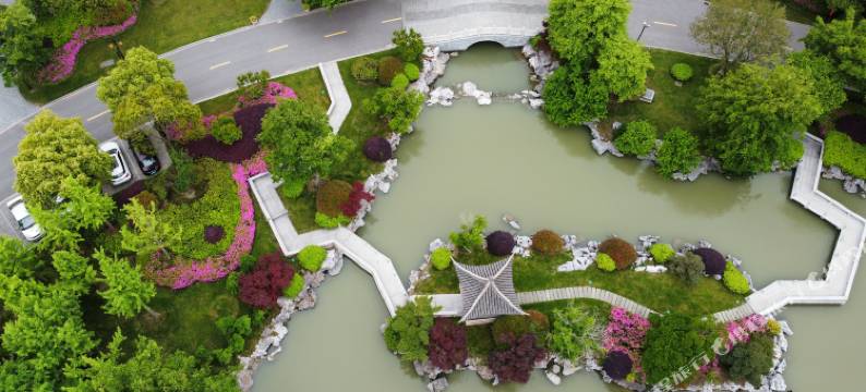 扬州迎宾馆(11号楼)图片