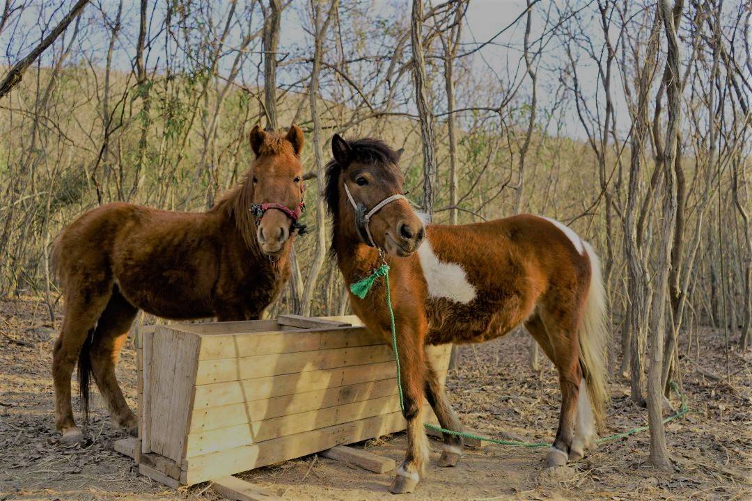 花筑奢·骊湖院民宿(镇江市句容仑山湖度假区店)图片