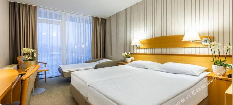 铁尔玛鲁酒店 - 温泉3000 - 萨瓦酒店及度假村(Hotel Termal - Terme 3000 - Sava Hotels & Resorts)图片