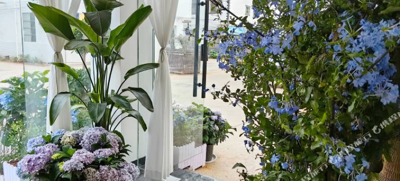 抚仙湖西子有约民宿图片