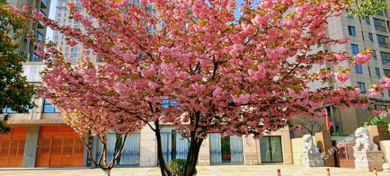 溧阳朗廷主题宾馆图片