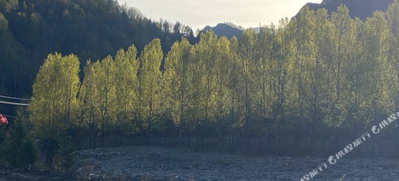 五台山观山茶舍民宿图片