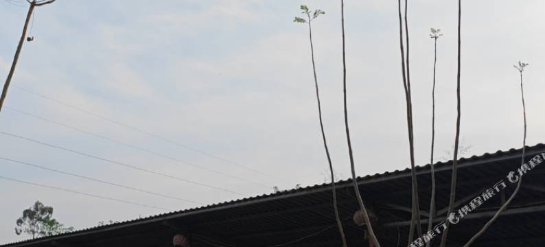 宜宾聚闲山庄图片