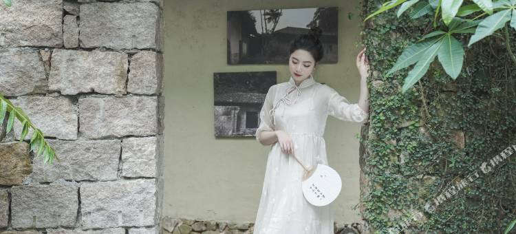 霞浦草木人茶宿图片