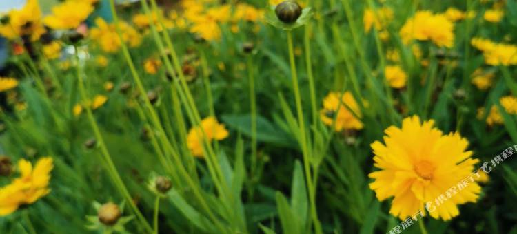 丰宁星空晓筑客栈图片