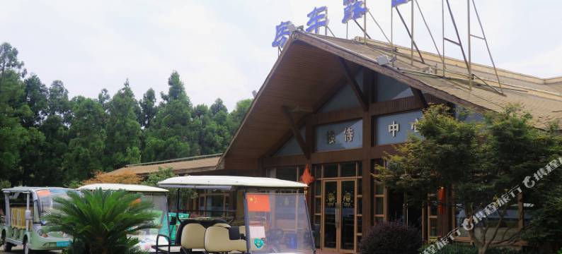 上海东平国家森林公园房车图片