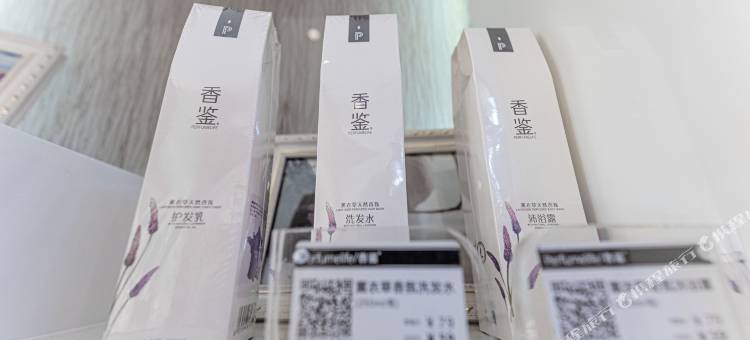 麗枫酒店(东莞南城国贸店)图片