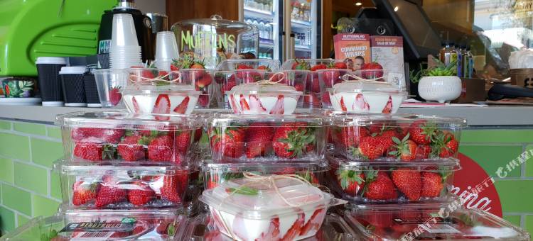 克利夫顿汽车旅馆及格里特尔顿旅馆(Clifton Motel & Grittleton Lodge)图片