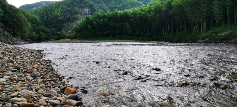 泾县悦居民宿(月亮湾景区店)图片
