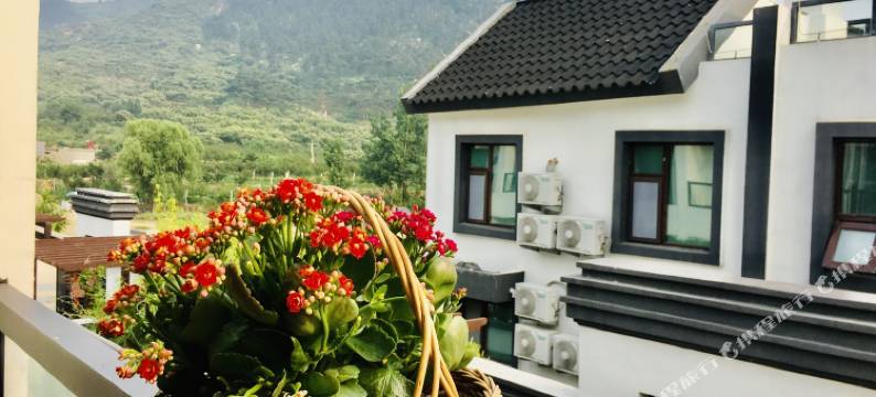 蒙山阿朵民宿图片