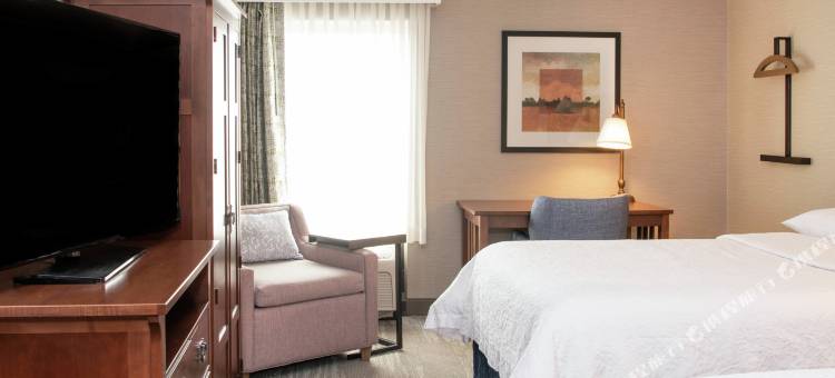 罗切斯特/维克特欢朋酒店及套房(Hampton Inn & Suites Rochester/Victor)图片
