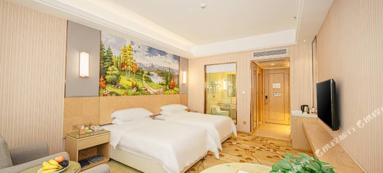 维也纳国际酒店(花垣中心店)图片