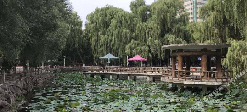 南阳鼎泰商务酒店图片