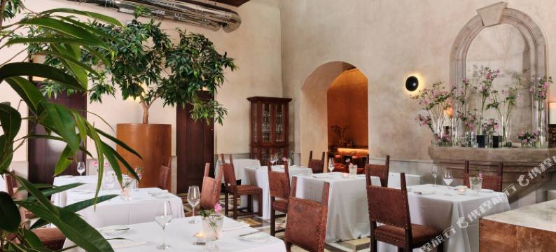 哥白尼酒店(Hotel Copernicus)图片