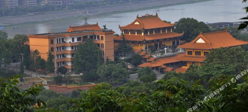 天鹅恋酒店图片