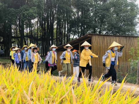 茅山涵田度假村图片