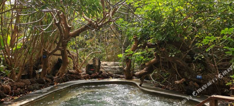 腾冲凭栏客栈图片