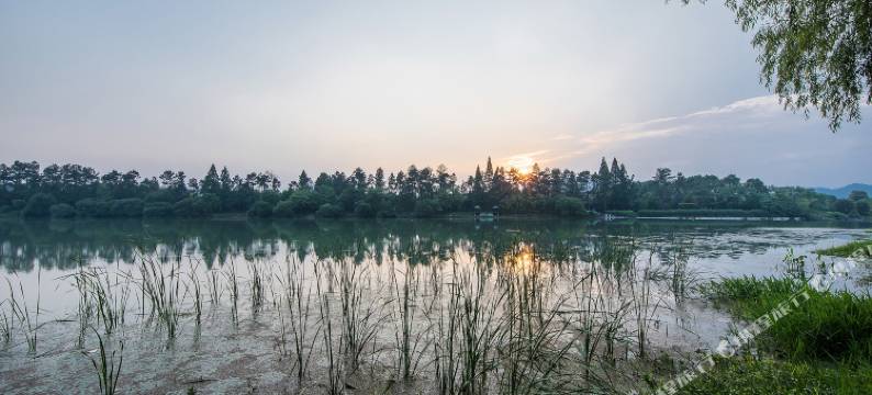 安吉绿竹桃园民宿(竹博园店)图片