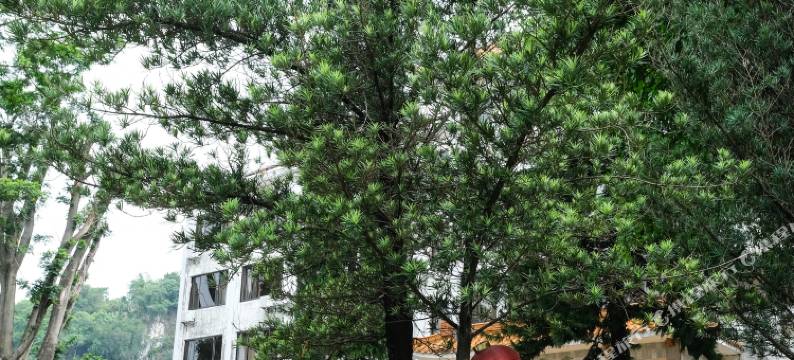 肇庆松涛宾馆图片