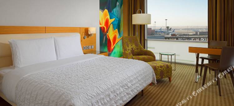 开罗机场艾美酒店(Le Meridien Cairo Airport)图片