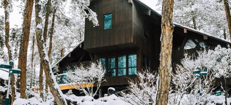 酉阳桃花源森林酒店图片