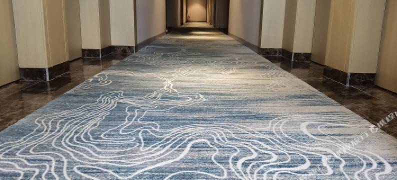 欧式阳光大酒店图片