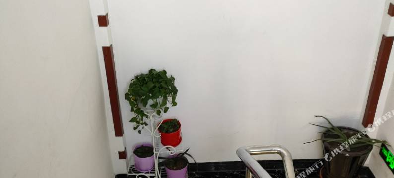 大连桃园旅馆图片