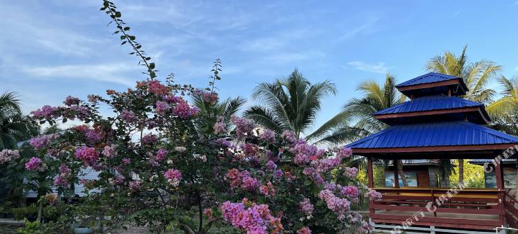 仙本那顺德人家度假村(华人管家/免费班车接驳码头&镇上)(Coconut Garden Resort)图片