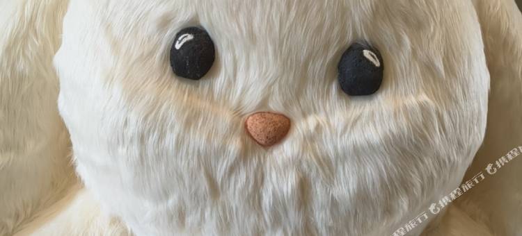 鸿栖居·观澜别院(和平广场店)图片