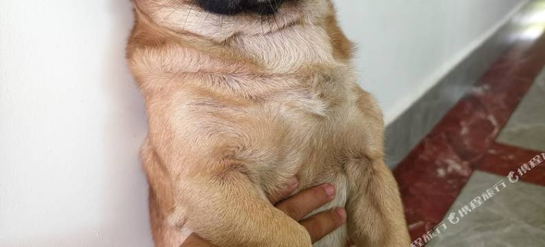 西岛海岛鱼夫民宿图片