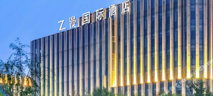 Z漫国际酒店(天津空港经济区滨海国际机场店)图片