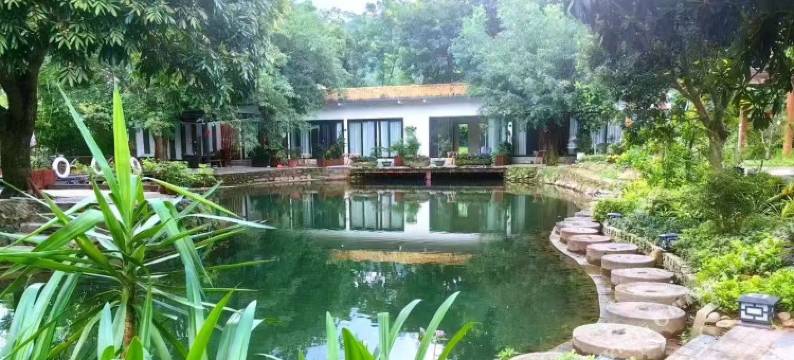 舍那·金地民宿图片