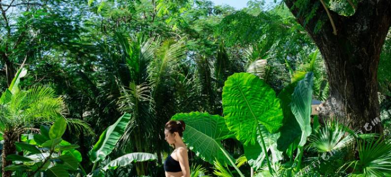 万桉听澜野奢度假设计师酒店图片