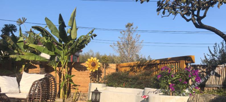 屋里厢·长兴Graceful竹山度假民宿图片