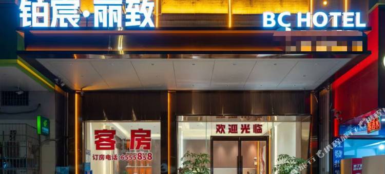 铂宸·丽致酒店图片